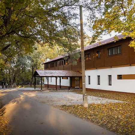 Hope Horse Panzio Erd