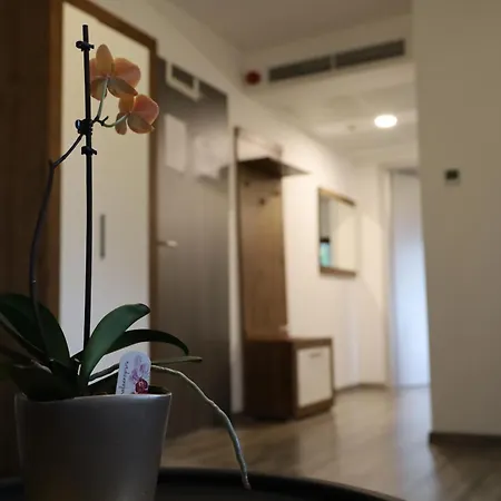 Hope Horse Panzio Erd