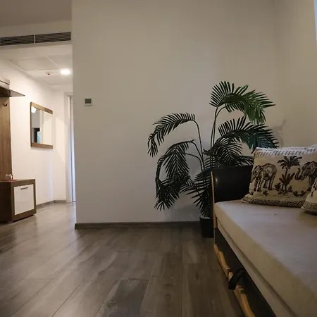 Hope Horse Panzio Bed & Breakfast Erd