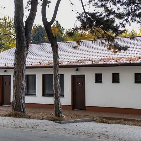 Hope Horse Panzio 3*