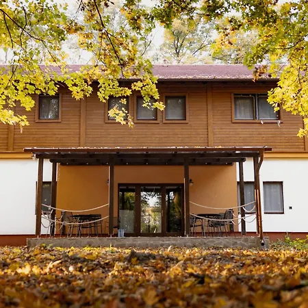 Hope Horse Panzio 3*