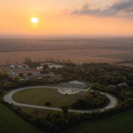 Hope Horse Panzio 3*