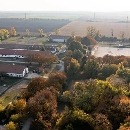 Hope Horse Panzio Erd