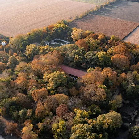 Hope Horse Panzio 3* Erd