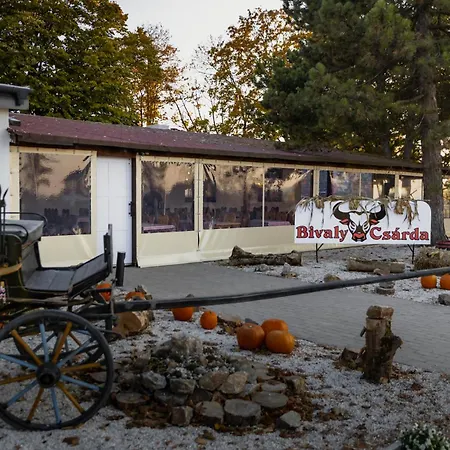 Hope Horse Panzio 3*